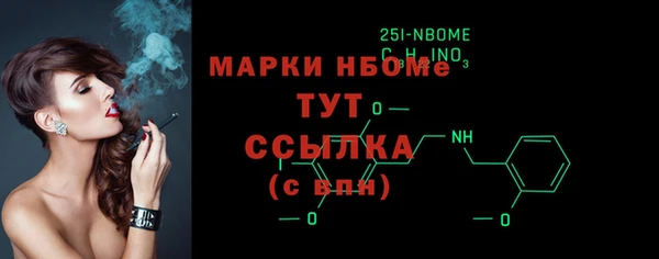 хмурый Алзамай