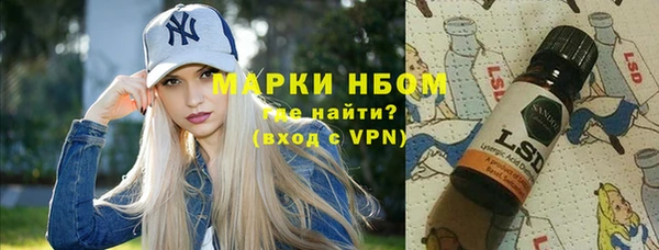 хмурый Алзамай