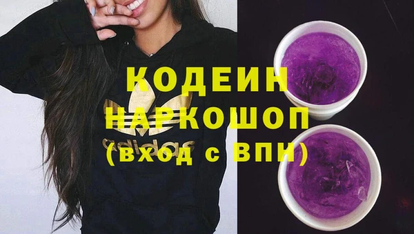 хмурый Алзамай